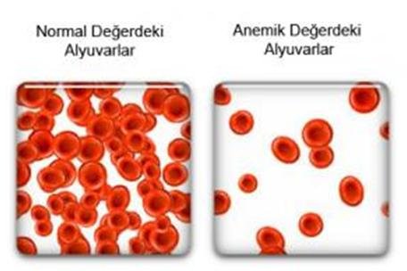  gebelikte anemi kansızlık, kan hücreleri alyuvarlar